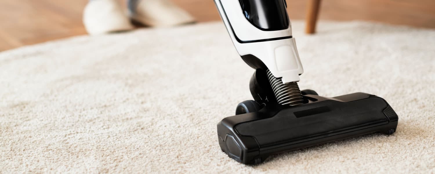 carpet cleaners exeter