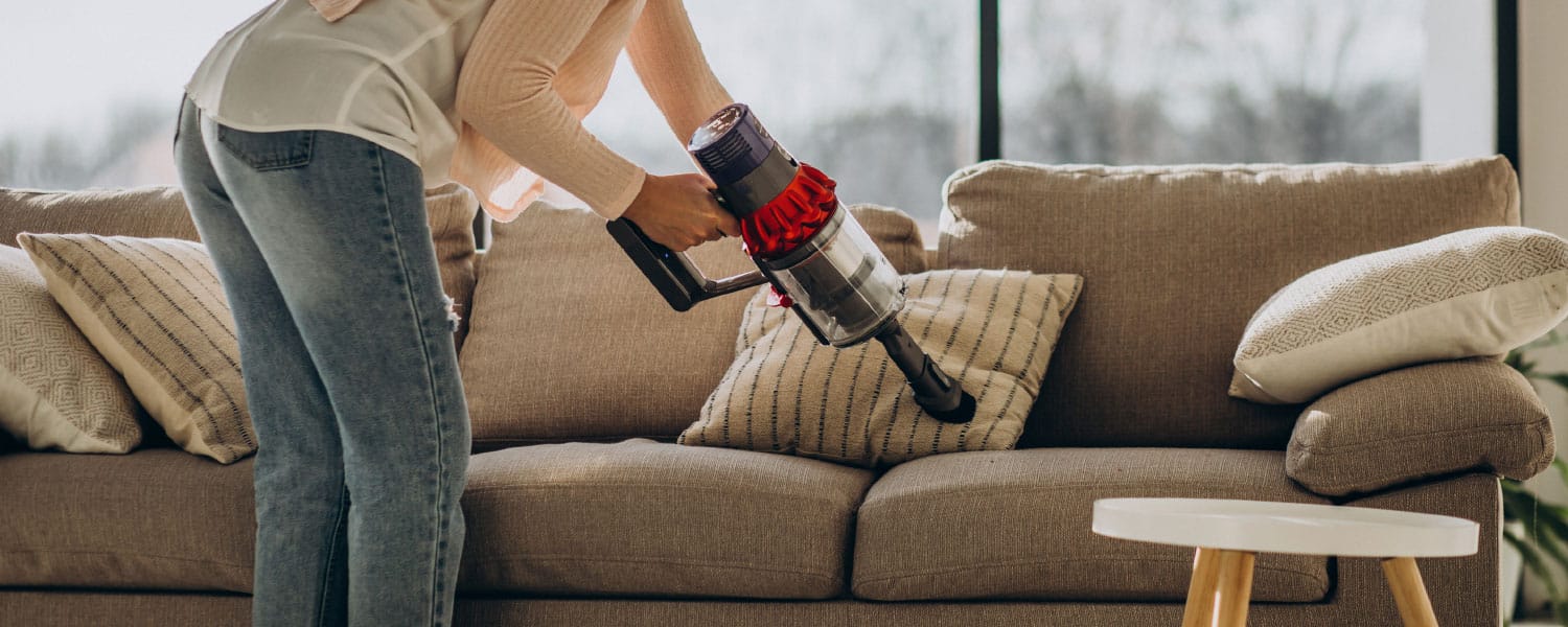 carpet cleaners exmouth