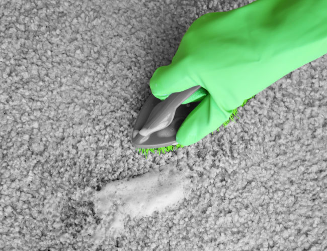 carpet-stain-cleaning-devon carpet stain cleaning devon