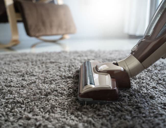 east-devon_carpet_cleaning east devon carpet cleaning