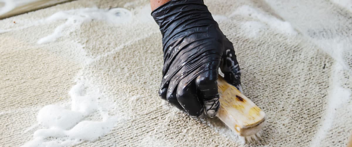 exeter carpet cleaners