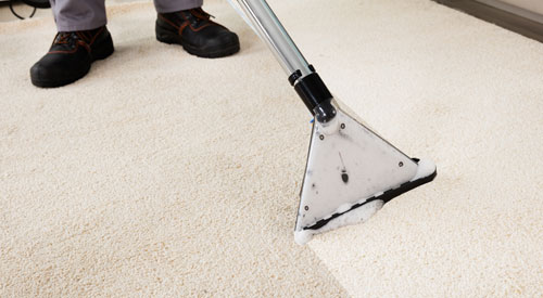 carpet_cleaners-east-devon Carpet Cleaners East devon