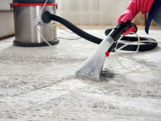 carpet_cleaner-exmouth carpet cleaner exmouth