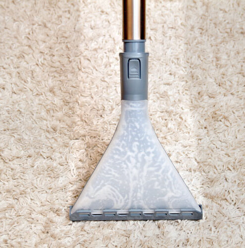 devon_carpet-cleaning devon carpet cleaning