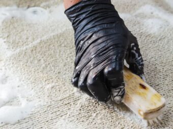 exeter carpet cleaners